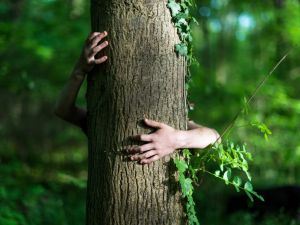 Une formation pour comprendre et accompagner les changements
