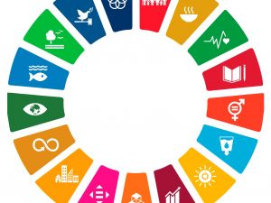 Intégrer les Objectifs de Développement Durable dans son projet