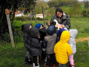 Mallette pédagogique « Se nourrir, Rochefort-Océan »