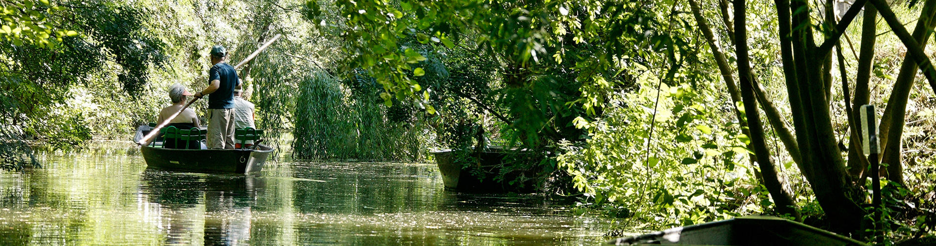 ifree-environnement-marais-poitevin